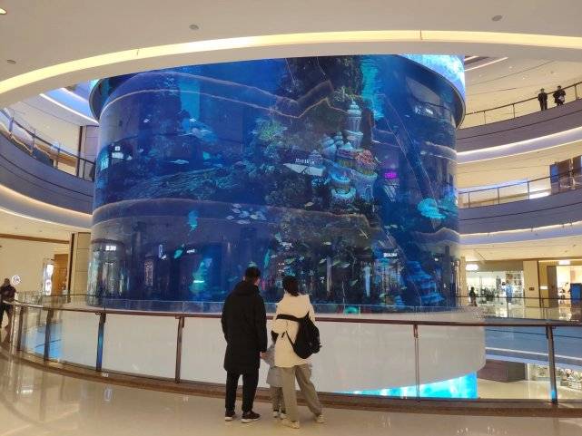 重庆一商场耗资2亿打造亚洲最大“海底世界”，高8.3米容纳1500吨海水
