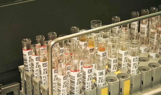 降低|冬季肾友可别忘了吃这个！实惠又有益！