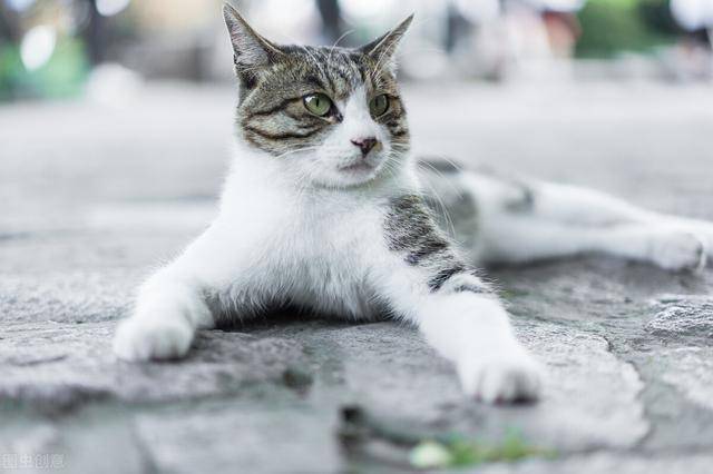 吵架很少输的星座 思维清晰 口才极佳 只有一个是例外 天蝎座