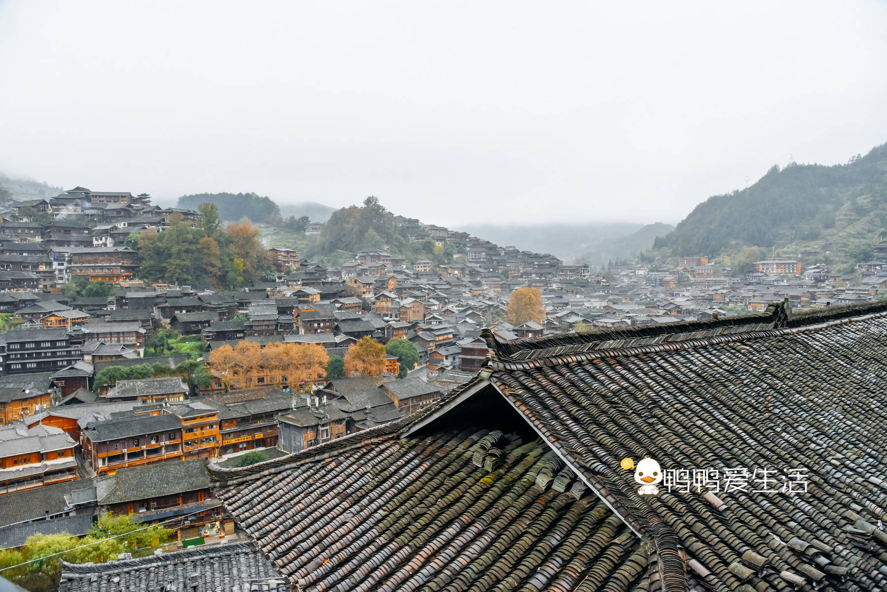 全世界|全世界最大苗族聚居村寨，余秋雨形容“以美丽回答一切”，有特色