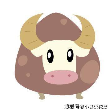 因人而异 并非对谁都很慷慨的4个星座男 狮子座