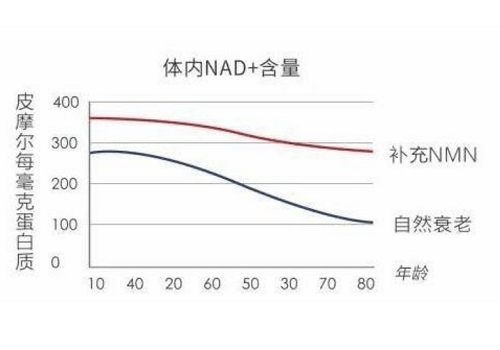 陈丽华|博思BOOST:浅谈NMN的安全性及有效性的奥秘