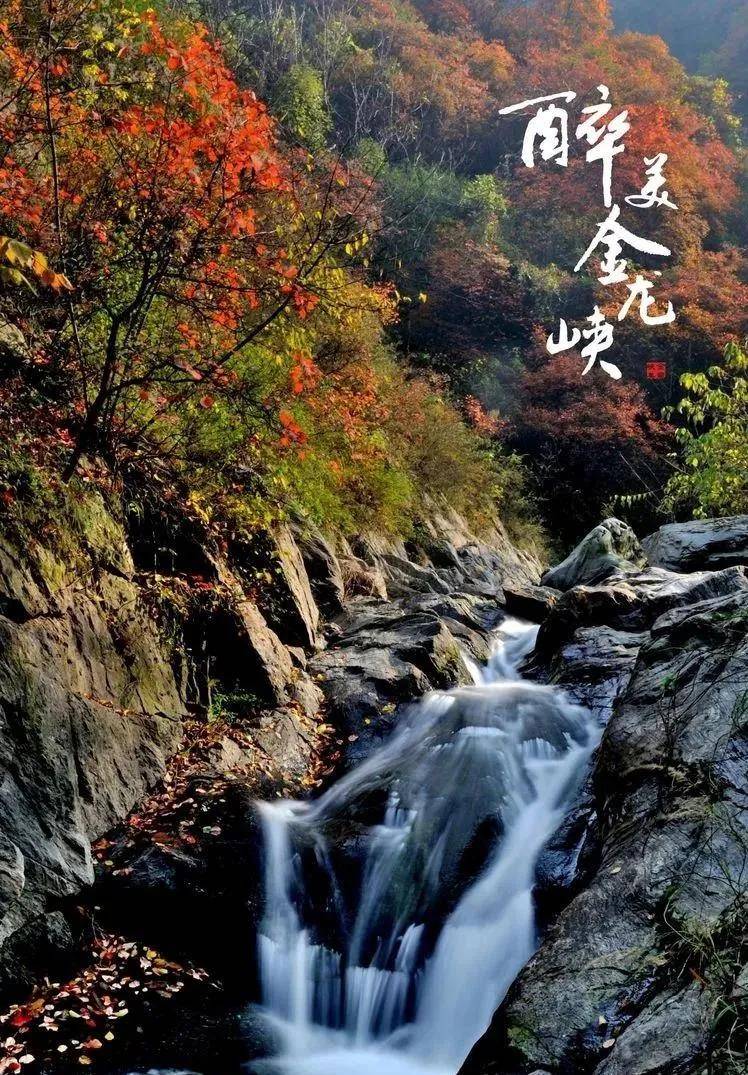 秋天的金龙峡,像一幅打翻了油彩的画布,五彩斑斓,层林尽染~_色彩_胭脂