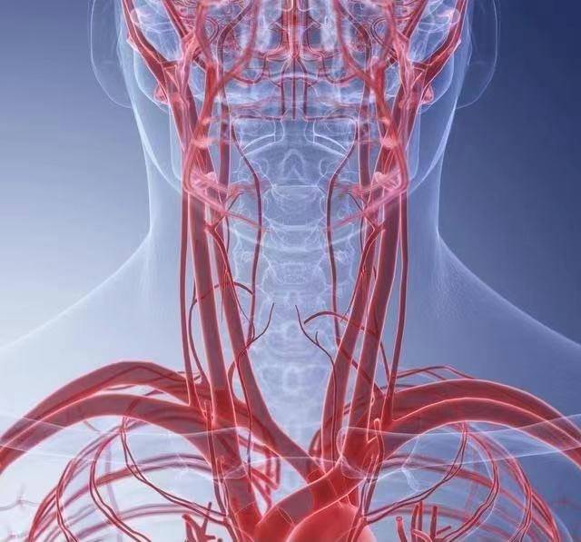 2,颈部周围膝关节外侧,在小腿上端有个凸起,叫腓骨小头,它的周围有腓