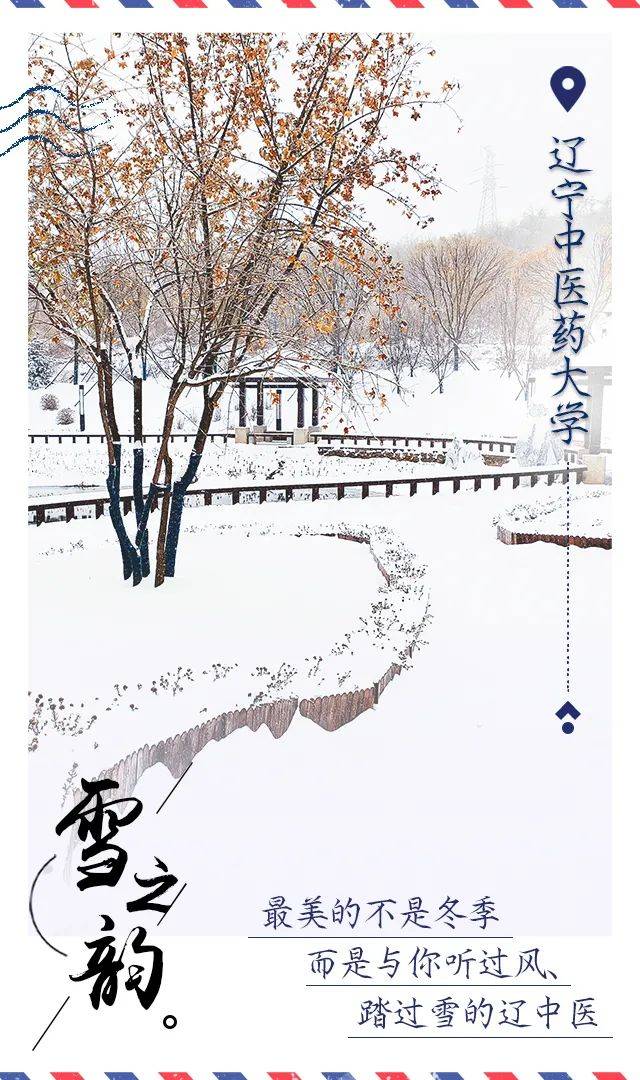 雪花|辽宁高校初雪明信片美哭了！