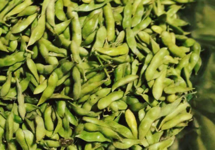 毛豆干|每年秋季,我家总会晒一篮它,香糯又劲道,当零食随吃随取,贼香