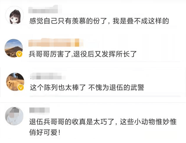 满格治愈系！退伍军人在超市里叠被子造出一整个“动物园”