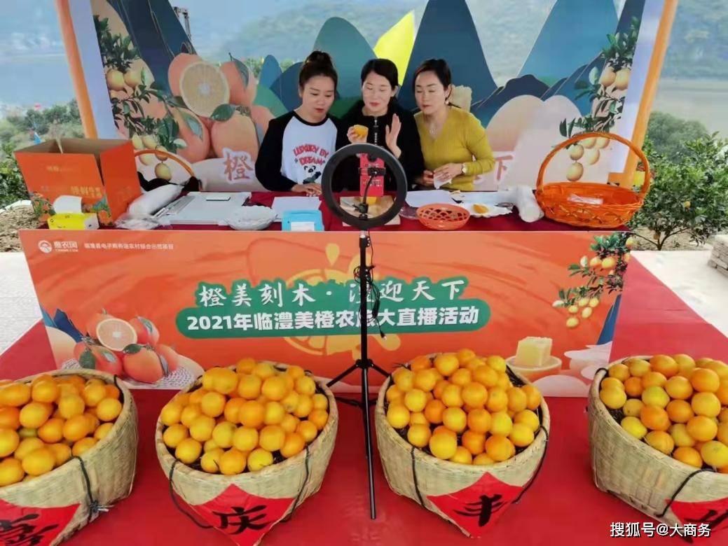第二届临澧美橙文化节举行 惠农网助力农产品上"云端"