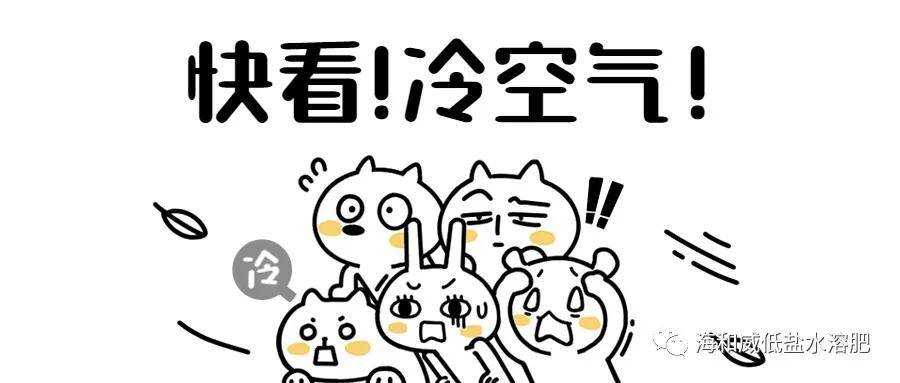 247e44cc39164f4f94faae8f7a1f88a4.jpeg