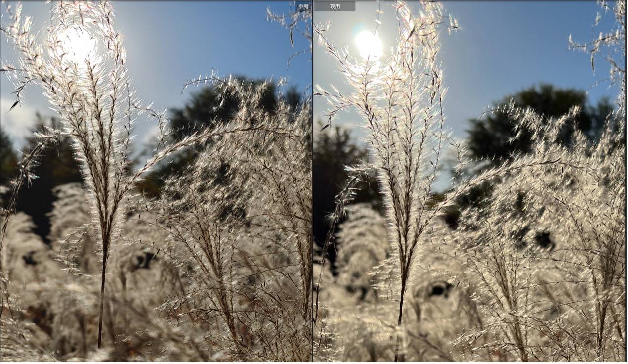 iPhone 13影像系统解析，iPhone 13 Pro Max与X70 Pro+影像对比