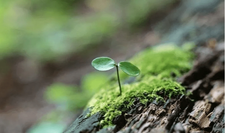治疗|多系统萎缩不能拖延需尽早治疗！