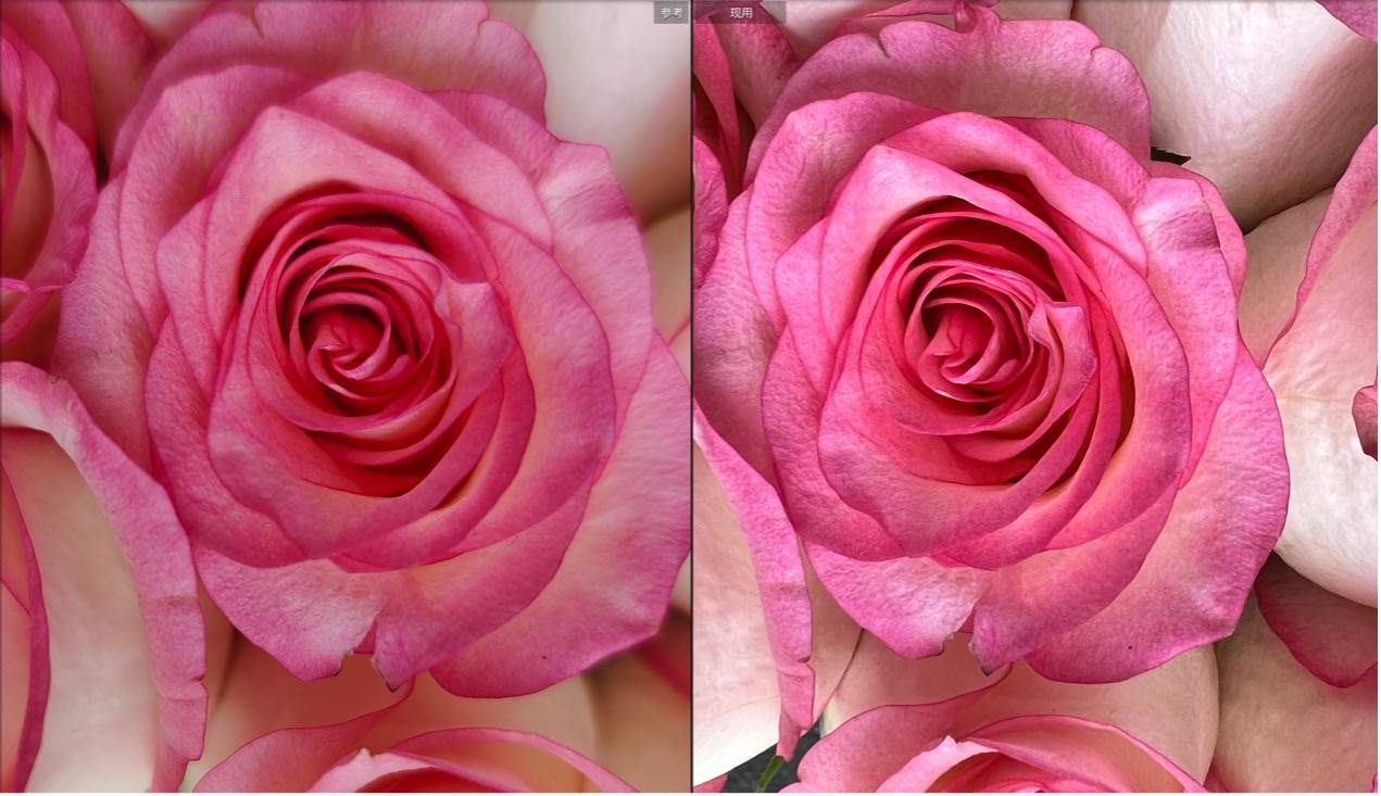 iPhone 13影像系统解析，iPhone 13 Pro Max与X70 Pro+影像对比