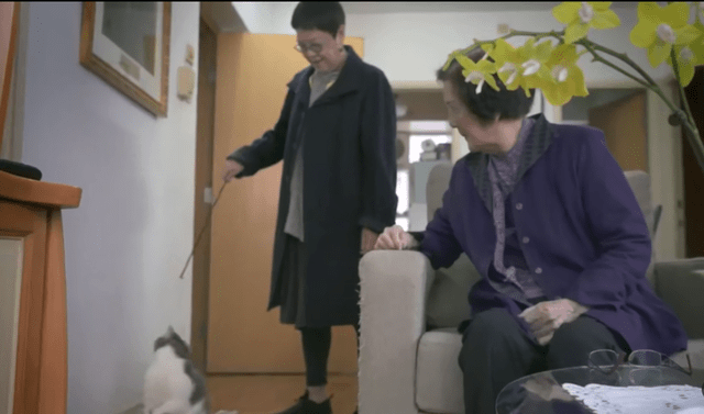 从容|在我们觉得她很惨时，她活出了内心的淡定和从容