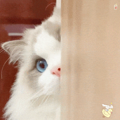 ��үү�����޹���,�Ұ��������ֱ�,�Ҿ�Ȼ�����ޡ�