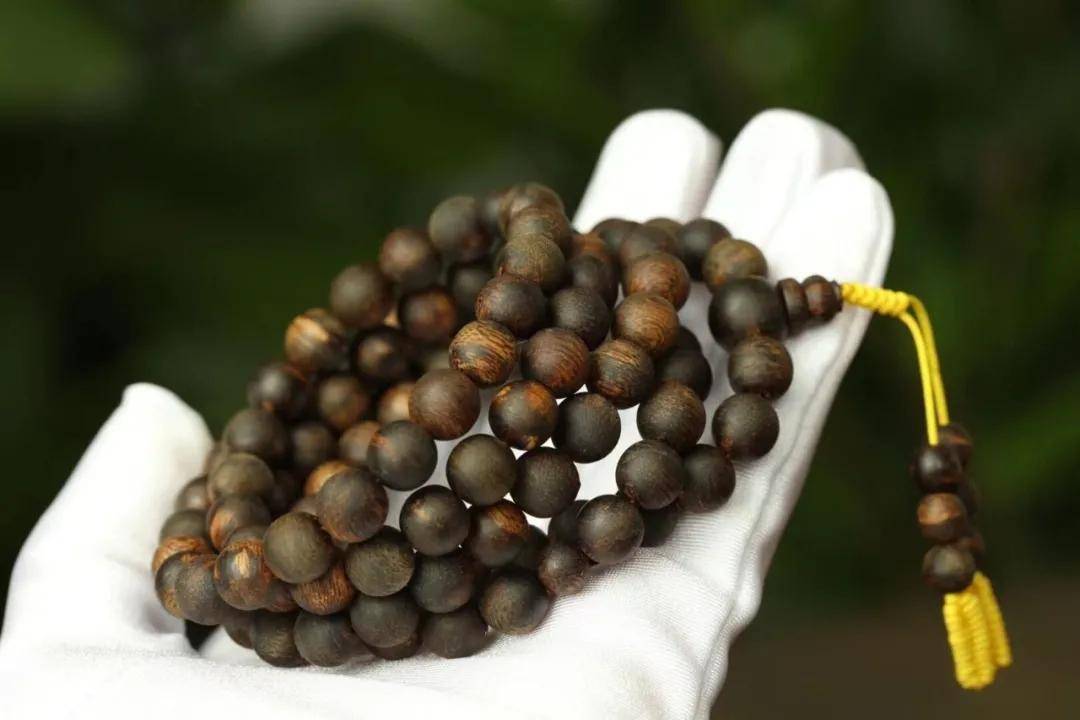 了解奇楠沉香的神奇作用！_搜狐网