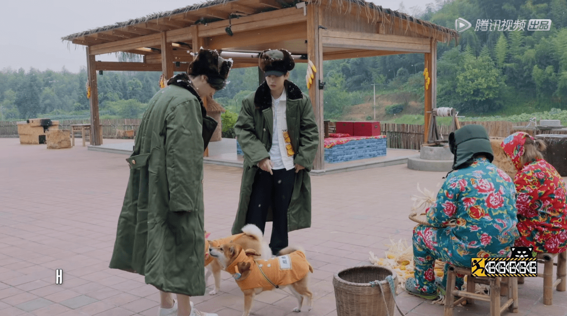 邓超|《五哈2》重返蘑菇屋录制纯属意外，导演透露实情，陈赫机智救场