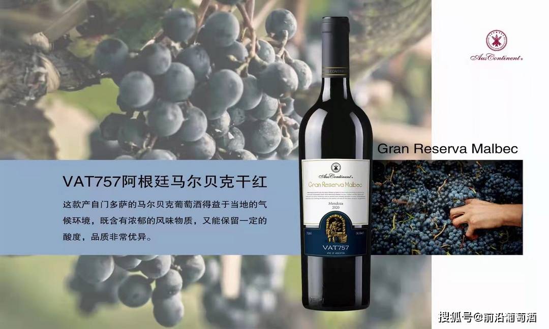 葡萄|含蓄低调的阿根廷马尔贝克葡萄酒,被低估的阿根廷马尔贝克葡萄酒