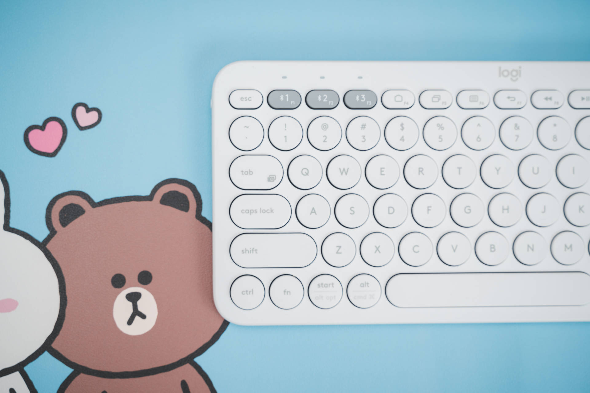 原创罗技k380amplinefriends联名限量布朗熊套装体验工作喜好两不误