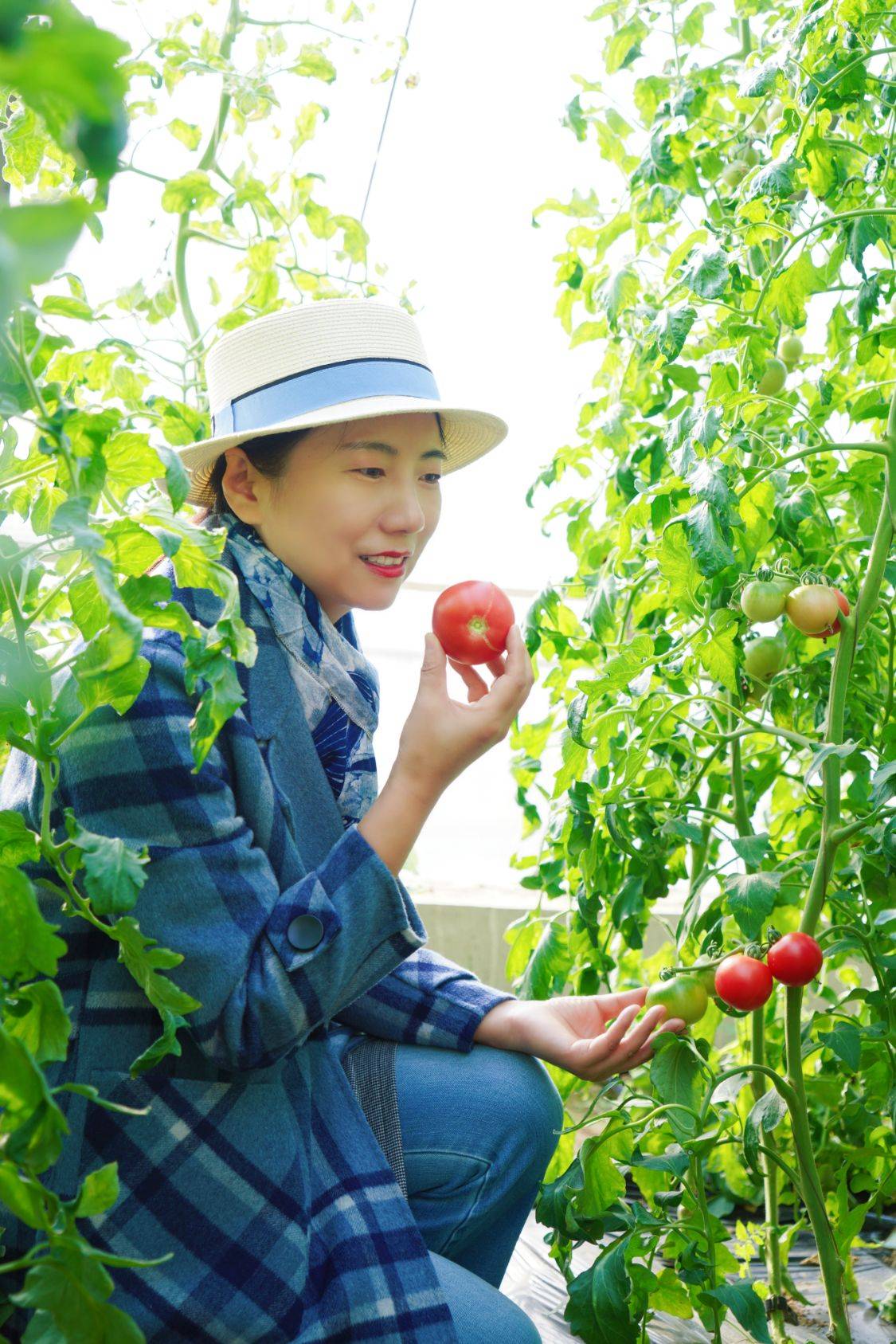 水果|冬季京郊游玩新方式，住民宿可免费采摘有机蔬菜和草莓