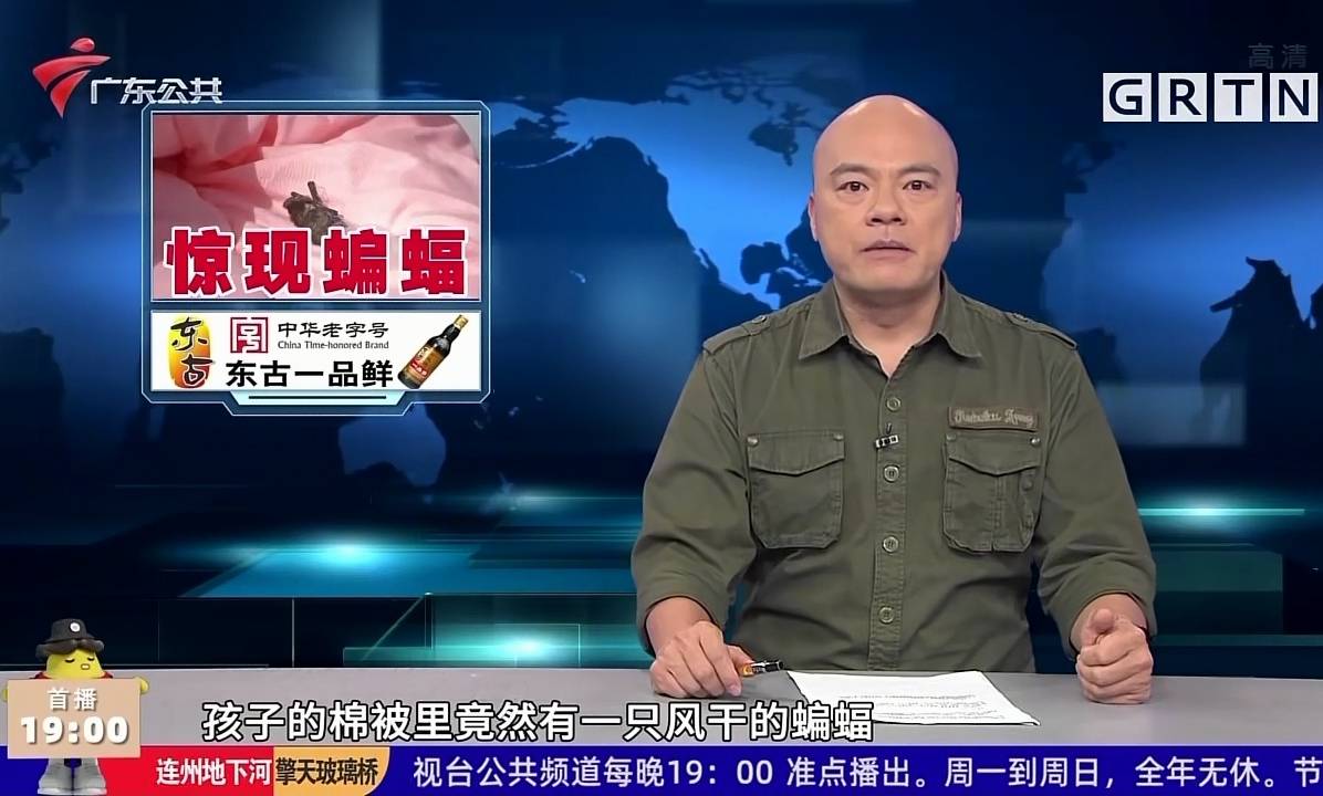 钱想|想钱想疯了？孩子棉被已用三年，才发现风干的蝙蝠，男子向幼儿园索赔两万元