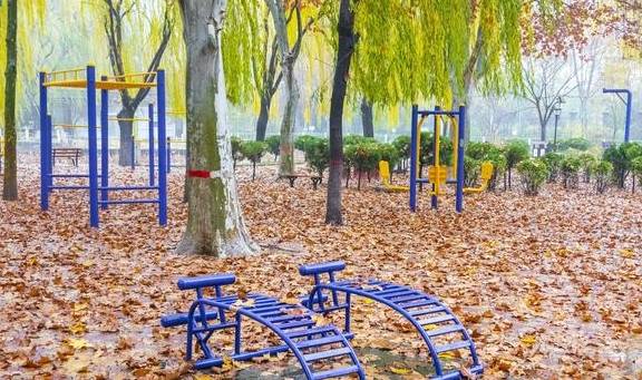 浓妆艳抹——深秋雨中的晋州魏征公园