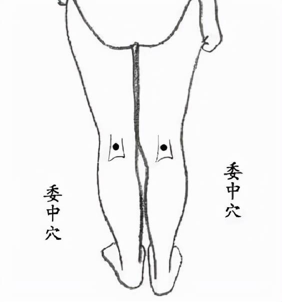 小雪|小雪 | 驱外寒，清内火，补肾阳，防冬病！