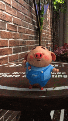 原创全网粉丝3500w抖音元老级网红猪小屁是如何赚钱的