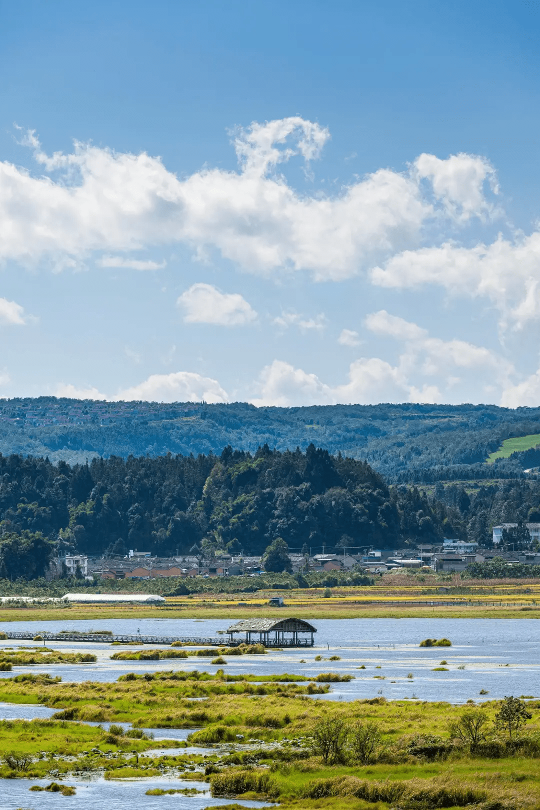 火山|看火山、泡温泉、赏银杏……在腾冲遇见云南醉美的冬天