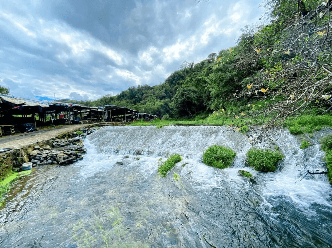 火山|看火山、泡温泉、赏银杏……在腾冲遇见云南醉美的冬天