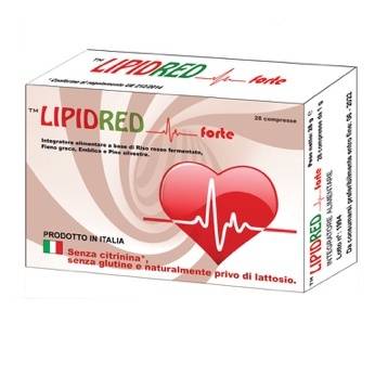 市场|“意带医路”——意大利医疗展团亮相进博会