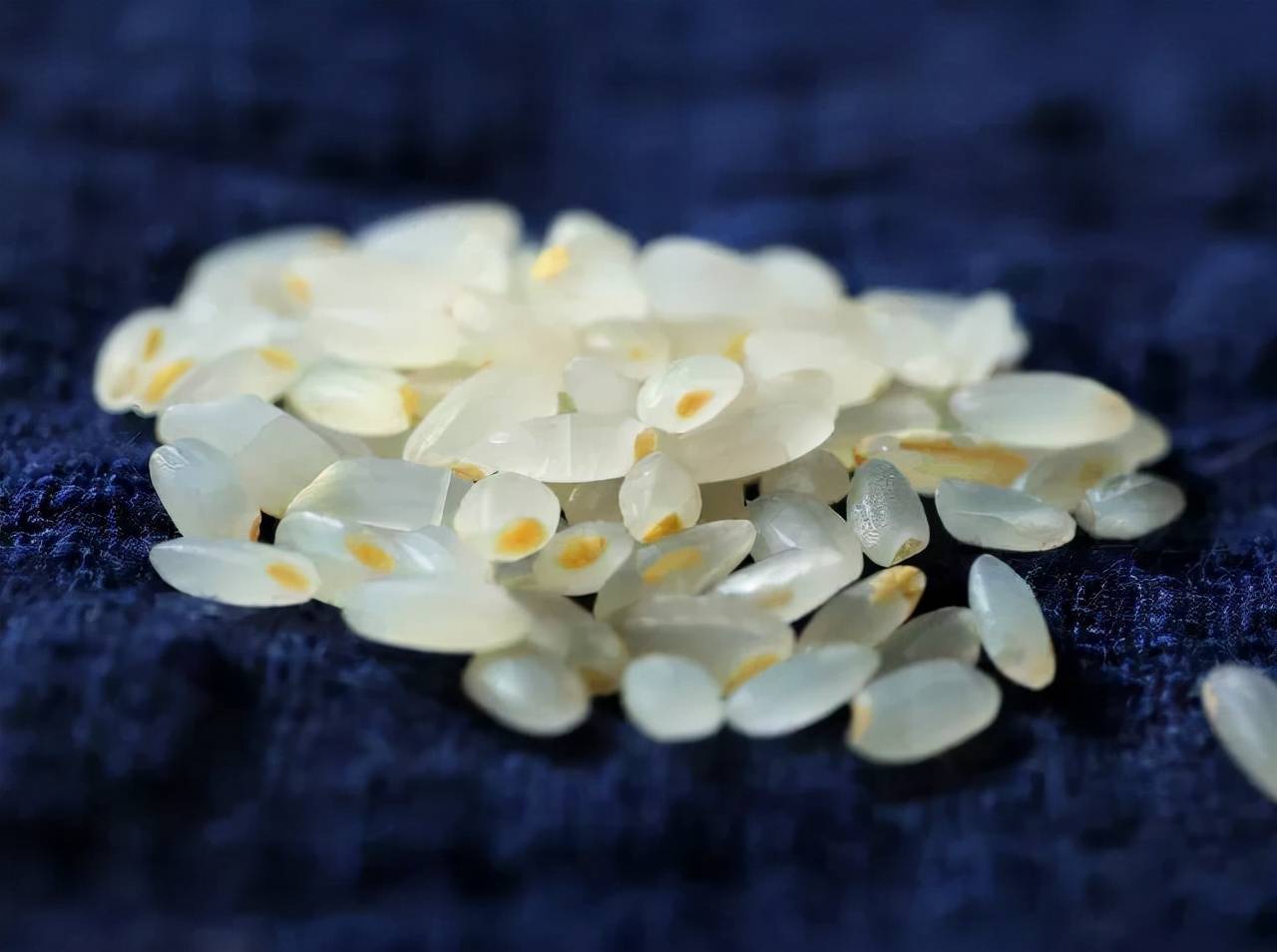 胚芽米的功效和作用,胚芽米和精白米的区别,来看下就清楚了_大米