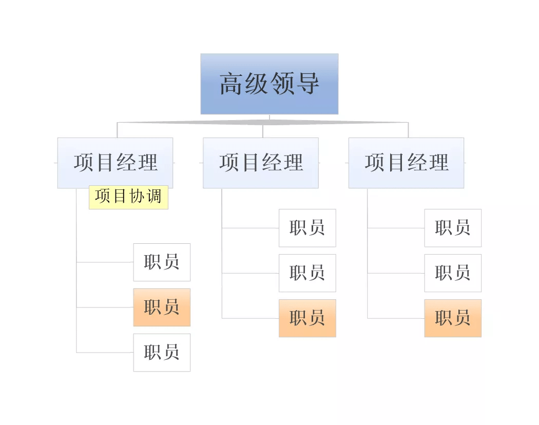 乾貨貼 項目經理 什麼是矩陣型組織結構