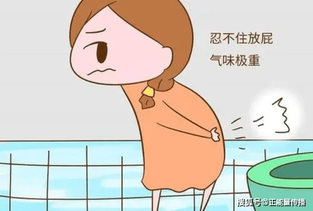 吃什么产生的粪便多 740c42e2aeb74d7689ab063969ebce1c.png