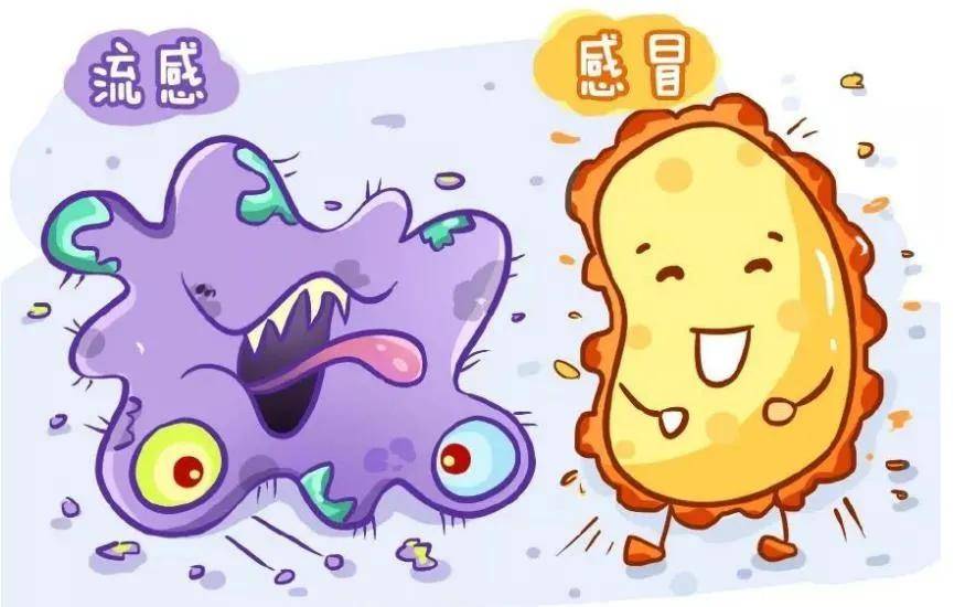 流感|流感≠感冒！普通感冒流感咋区分，如何预防？