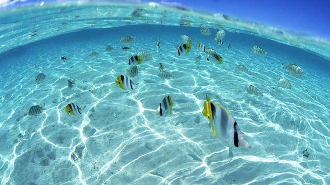 梦见一男人手里拿了一条死小鱼,解读梦境中的象征与启示 梦见一男人手里拿了一条死小鱼,解读梦境中的象征与启示