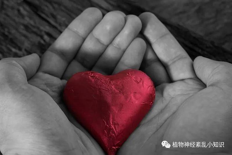 心神经官能症 来自搜狐网