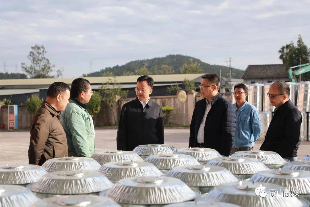 市委常委常务副市长王永超到蒙山县调研