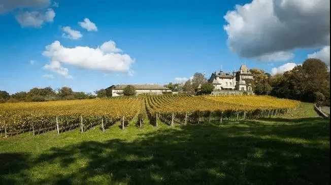 投资|中格文化:为何这些明星热衷投资红酒庄