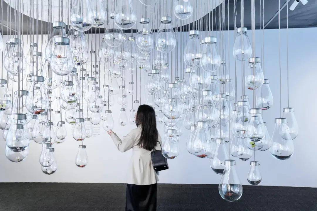 Abdul|上海西岸艺术博览会｜流淌进每一滴珍酿里的，都是大自然的艺术