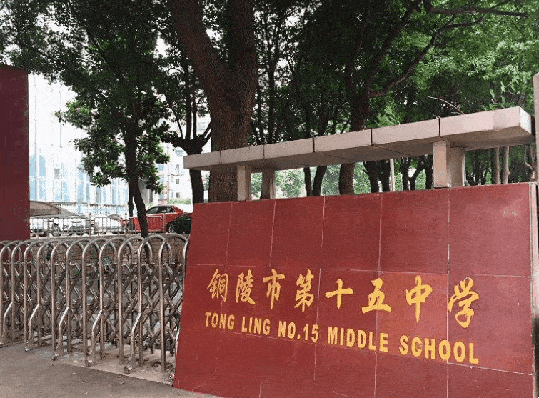 小学阶段: 目前在铜陵来说,名气较好的学校比如:实验小学 人民小学