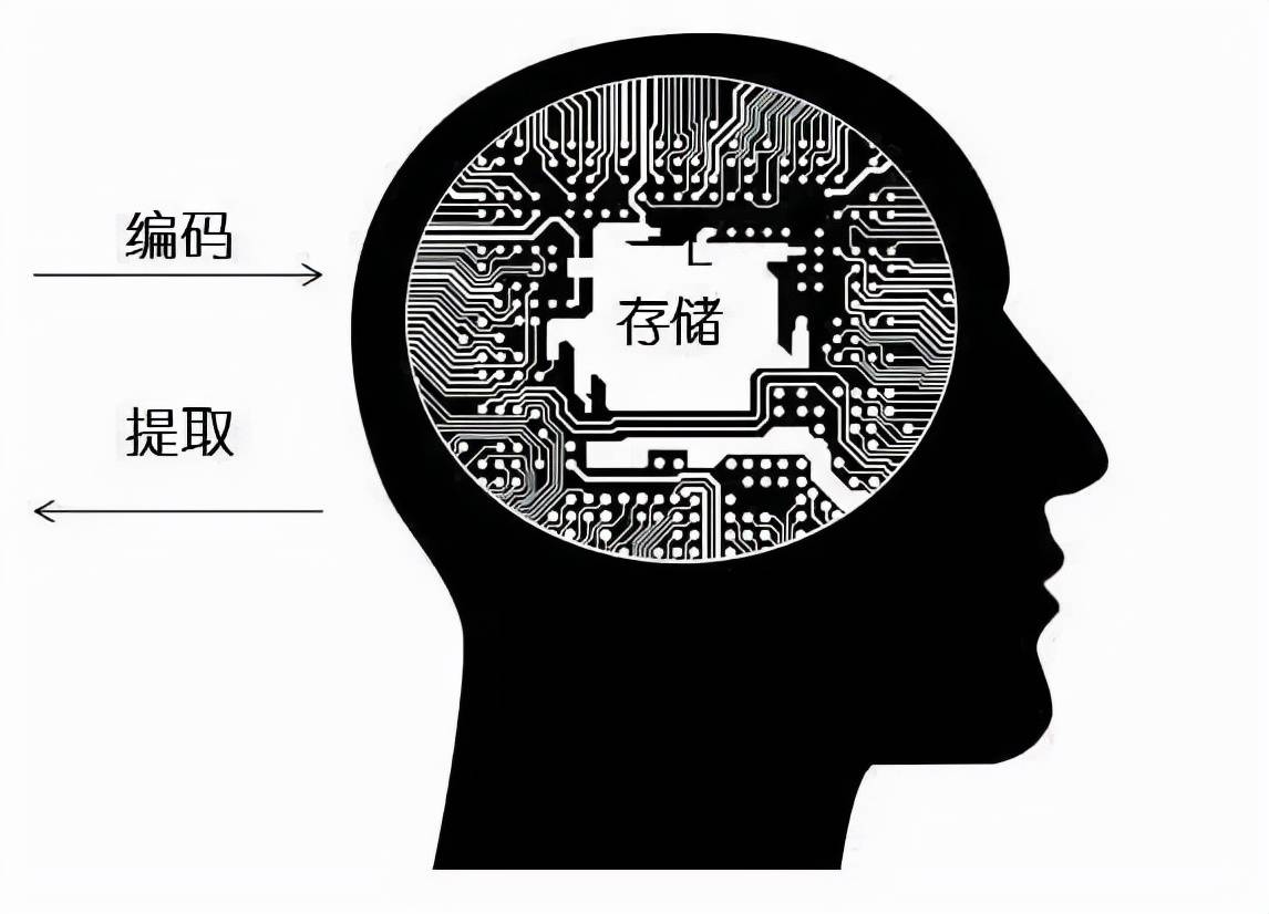 每个人都是一个独立的记忆存储系统_大脑