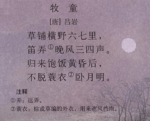 教師資格證面試小學語文試講案例