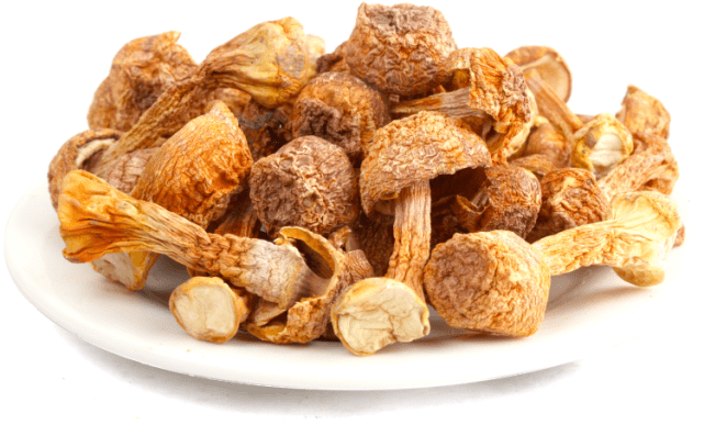 松茸的功效与作用怎么吃 bc9bc0bb28554101b0c98c2e2908cae3.png