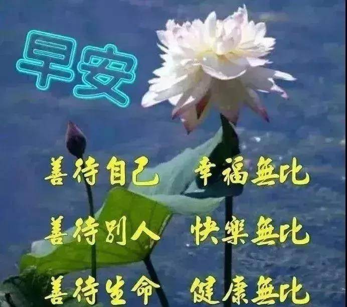 e396b196ee734134860d96f874534aa6.jpeg