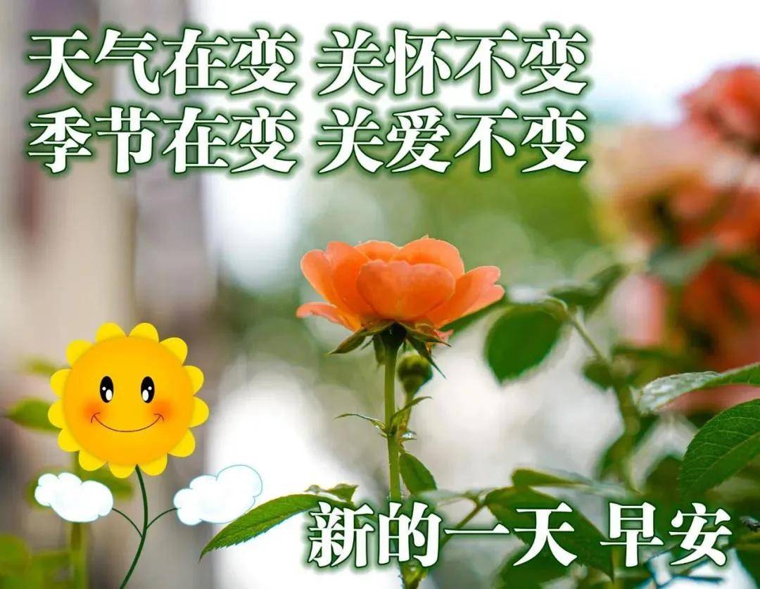 原创8张清新漂亮冬日风景早上好图片带祝福语好看的冬天风景朋友圈