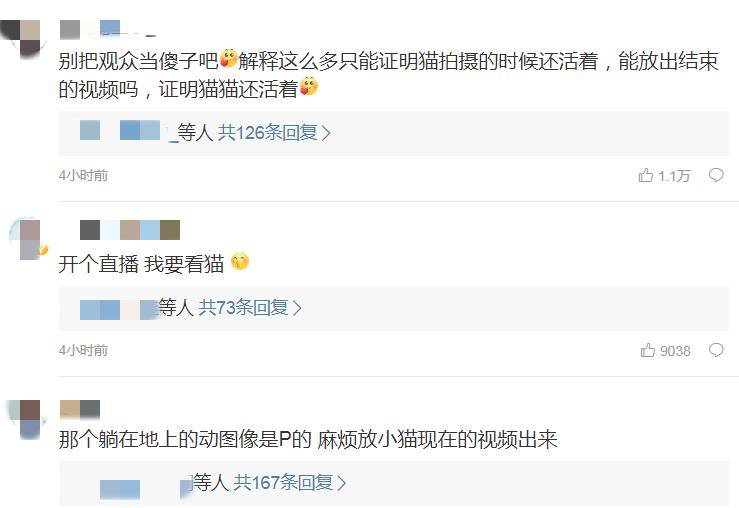 热播剧《当家主母》虐猫事件，孰真孰假？_拍摄时毒死真猫?当家主母剧组 