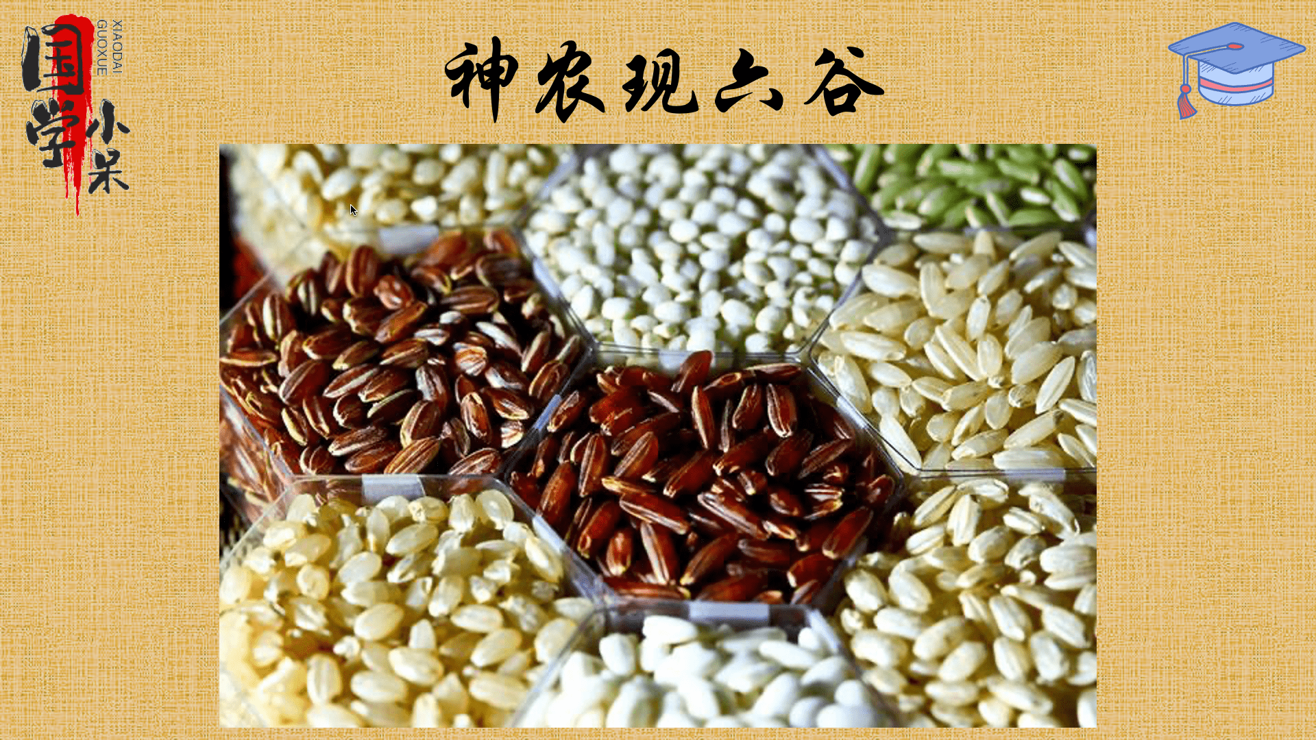 稻粱菽麦黍稷是哪六谷图片