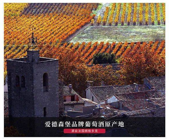 展商回顾 合肥爱德森堡文化发展有限公司 世界大健康博览会 控股公司 酒庄 酿造