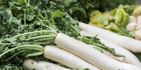 人体|最新长寿食谱，被誉为“长寿第一菜、长寿第一果、长寿第一肉”