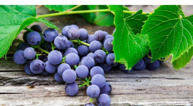 妙品|此物是天然的“雄激素”，男人可多吃，身体健康了，谁吃谁受益